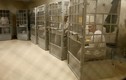 Khám phá cuộc sống trong nhà tù an ninh nhất nước Mỹ